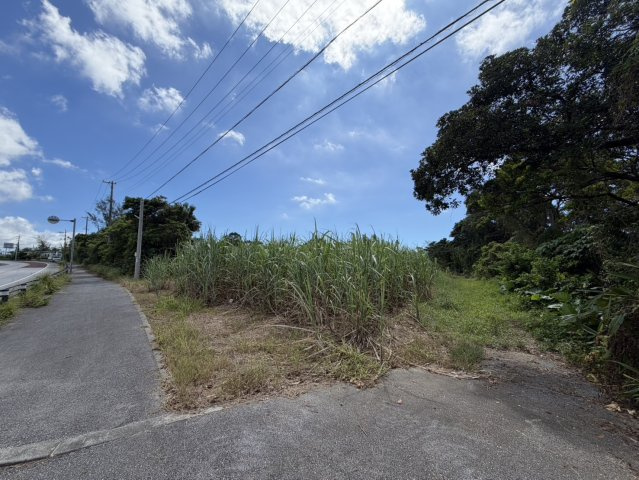 【事業用地】宜野座村惣慶土地の外観