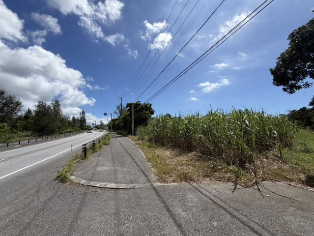 【事業用地】宜野座村惣慶土地の外観