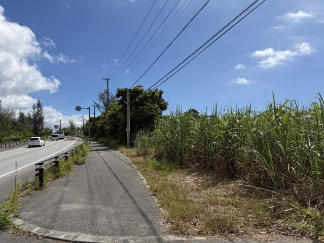 【事業用地】宜野座村惣慶土地の周辺