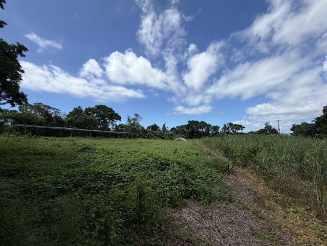 【事業用地】宜野座村惣慶土地の外観