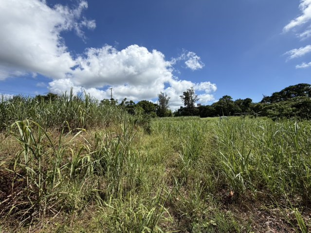 【事業用地】宜野座村惣慶土地の外観