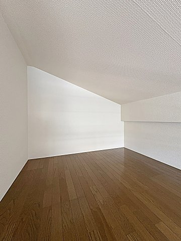 パルテンツァのその他