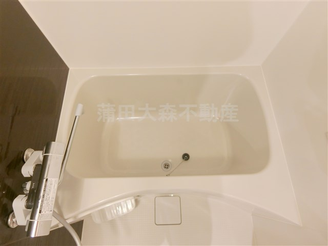 DeLCCSデルクス梅屋敷の浴室