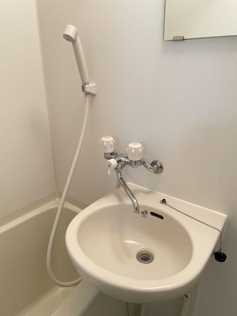 スカイコートヌーベル入谷の洗面所