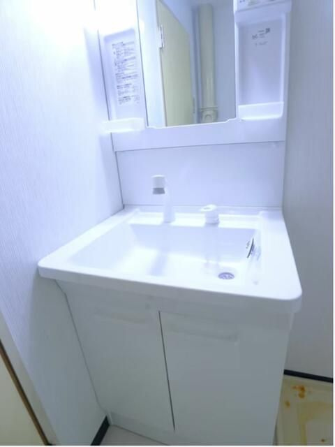 エクセレントアベの洗面所