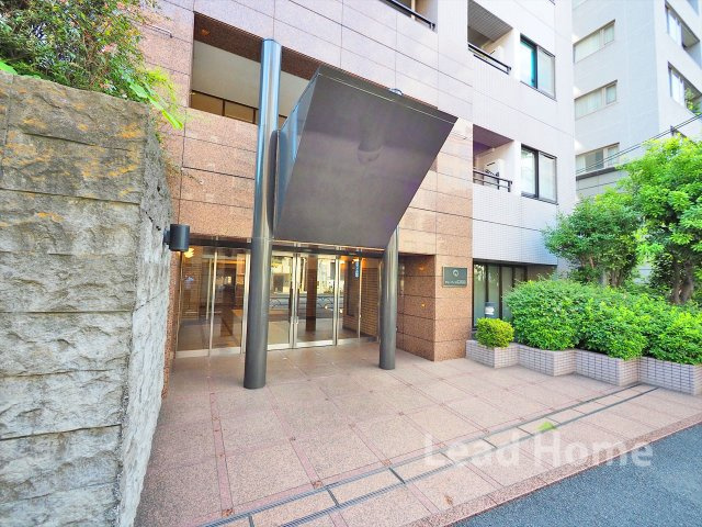 【その他】 | フリーディオ広尾南 | 前面道路