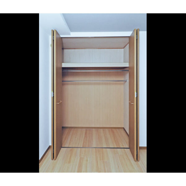 シャトレ弐番館の収納|別号室タイプ