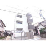 Kieluzの画像