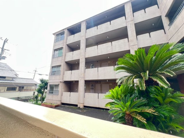 グリーンハイツ紫明園の展望