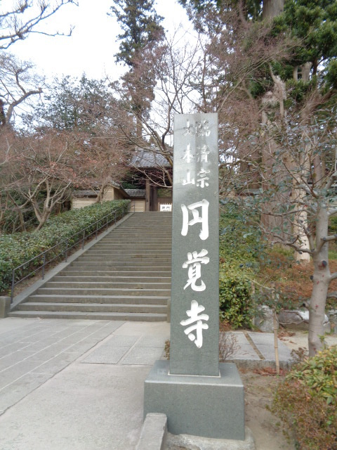 マイカーサ北鎌倉のその他|円覚寺
