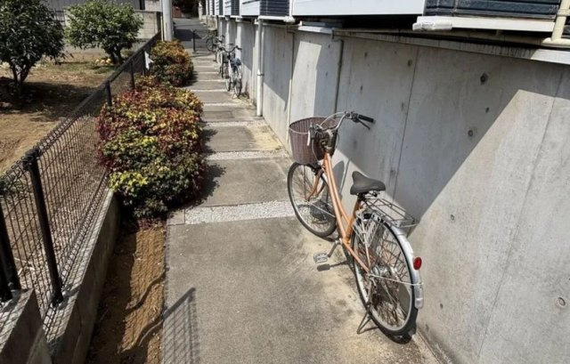 レオネクストセレーネのその他