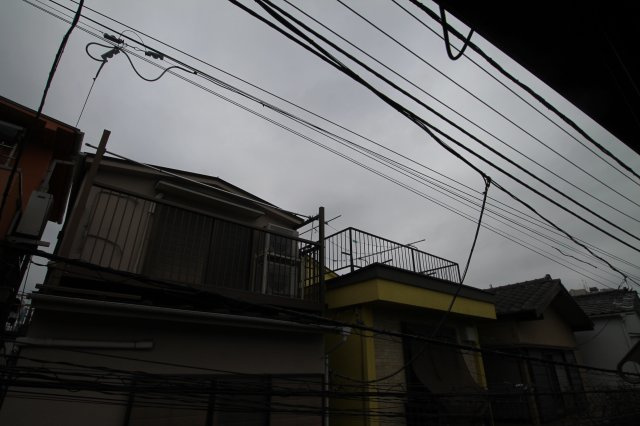 【展望】