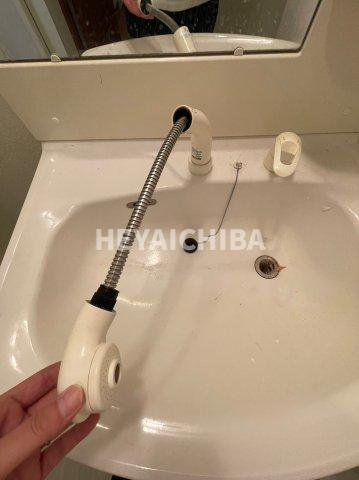 razveil入谷の洗面所|シャワー付き洗面台