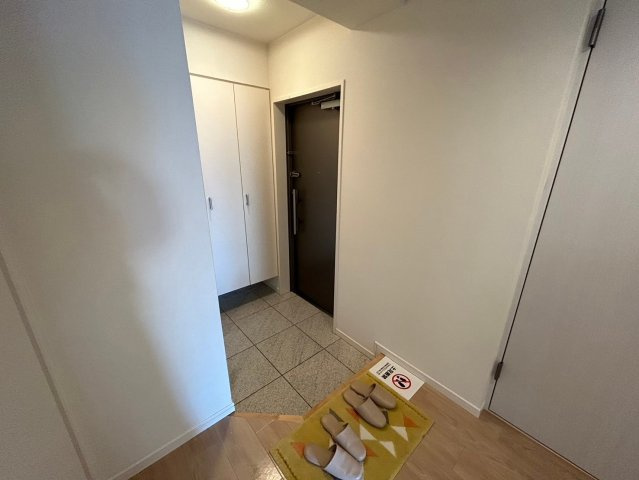 豊中市向丘２丁目の賃貸マンションの玄関
