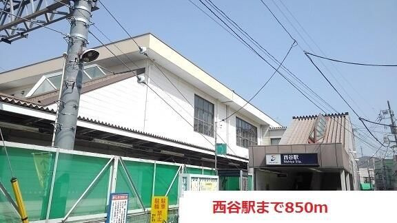 シャルマンのその他