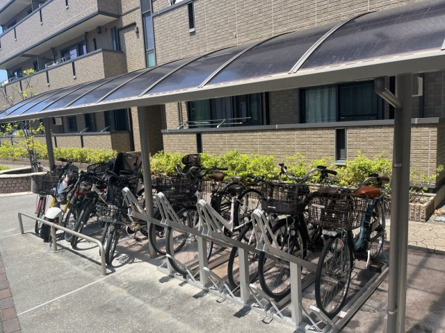 グラシアスのその他