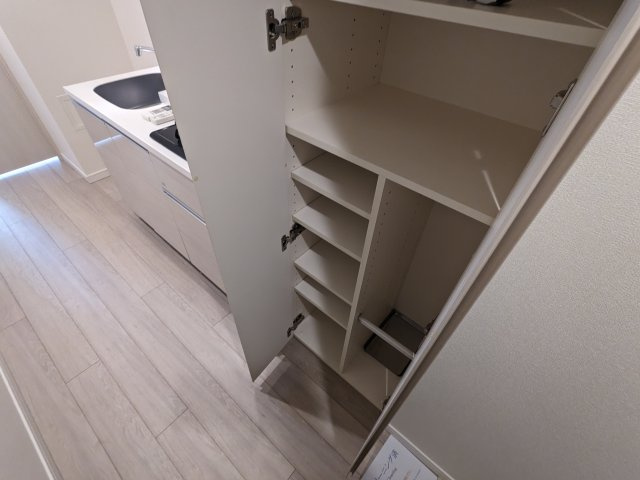 ケーディーエックスレジデンス豊洲の収納|収納豊富です