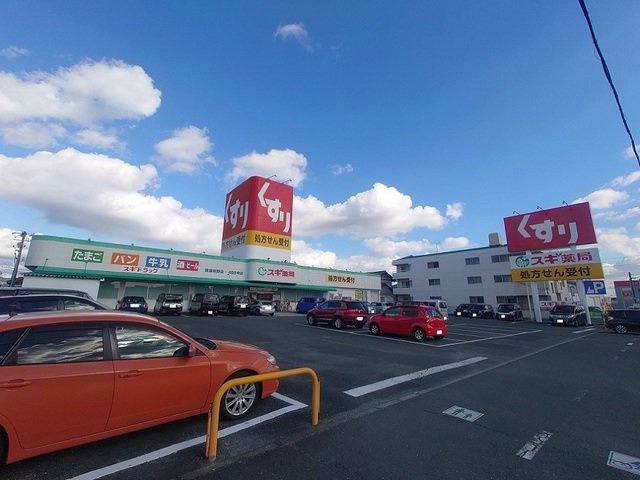 エリザの周辺|スギ薬局まで500m