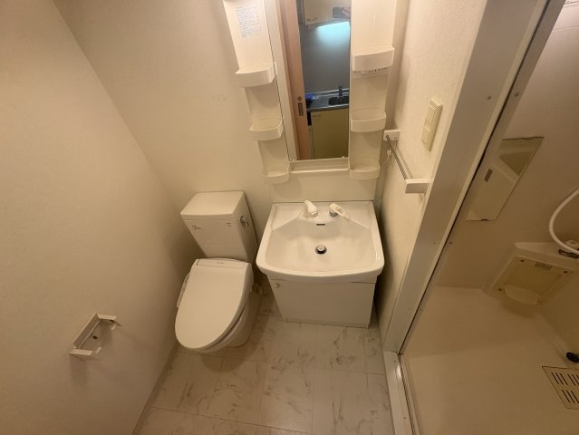ドゥーエ江坂Ⅱの洗面所