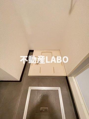 シロスハヤシのその他