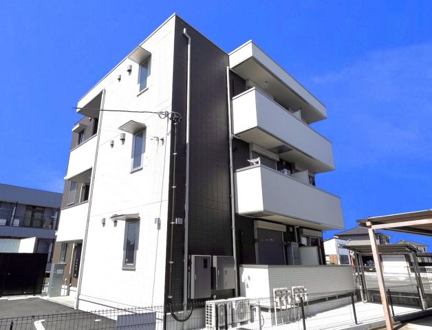 MARBLE FERNA