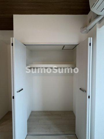 レジディア世田谷若林の収納|小物を収納するのに便利です