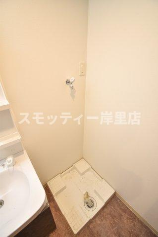 F asecia sceltoのその他
