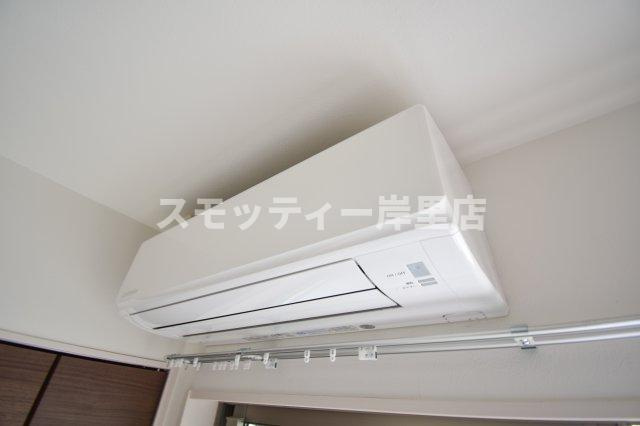 F asecia sceltoの設備