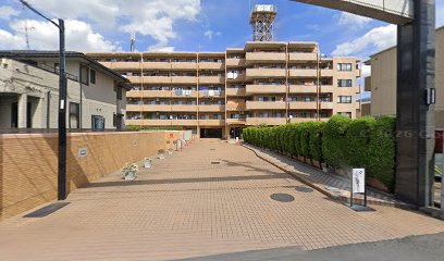 ライオンズマンション竹の塚第3の外観|物件の外観です
