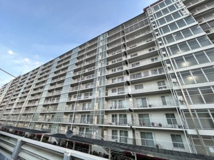 マープル津田沼スカイハイツＡ棟の外観|外観です。