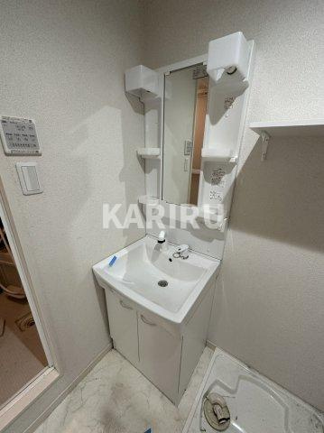 ラージヒル鶴見緑地の洗面所