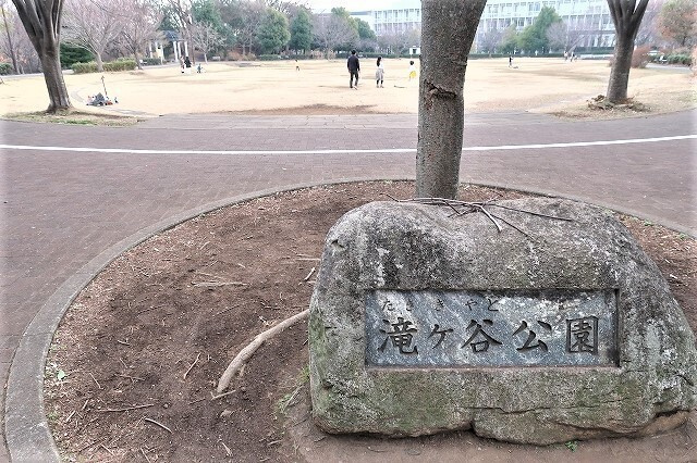 シェル エトワーレⅡの周辺|公園「滝ケ谷公園まで739m」