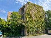 Treesの画像