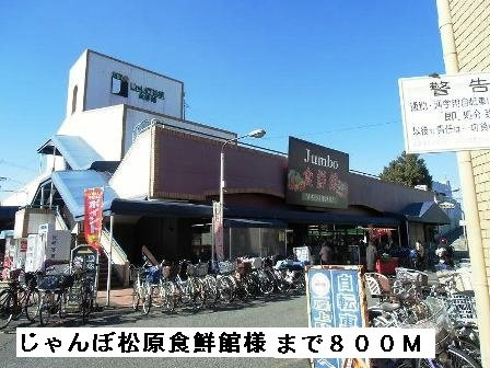 アンジュⅡの周辺|じゃんぼ松原食鮮館様まで800m