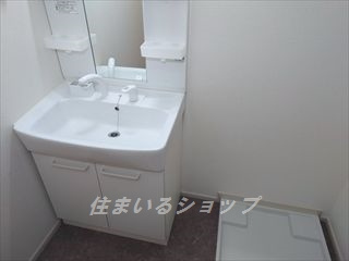 フォレスト　光　Ⅱの洗面所|シャンプードレッサー
