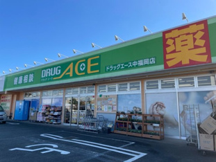 ドラッグエースふじみ野店まで500m