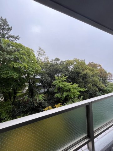 白鷹松下町マンションの展望