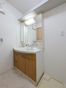 シャーメゾン鈴の宮 の洗面所