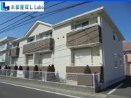 プラシードの画像