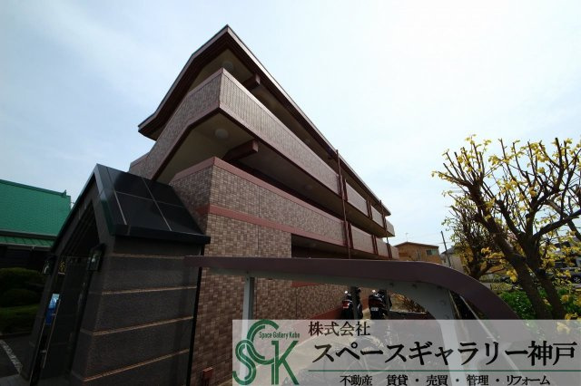 アルファビア池内