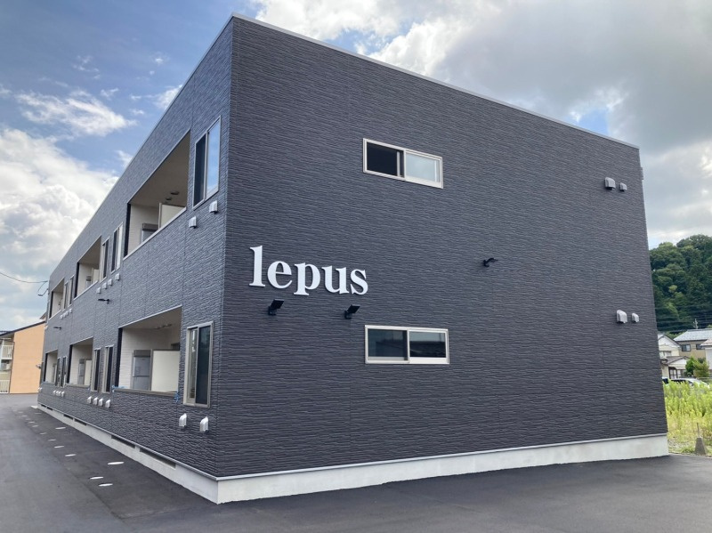 lepus