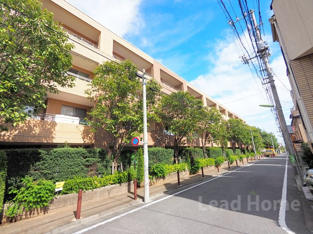 【その他】 | マスターズガーデン世田谷桜 | 前面道路