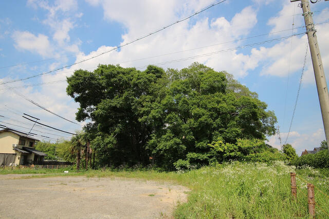 刈谷市井ヶ谷町洲原の外観