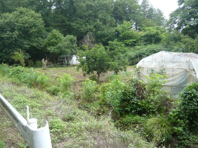 下都賀郡野木町大字潤島740-1の外観