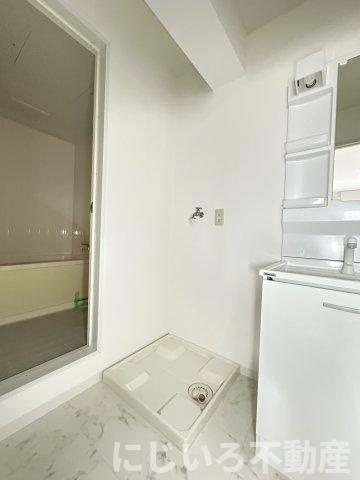 メゾングランシャリオの洗面所