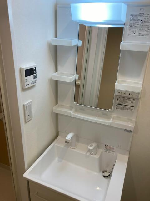 トゥギャザー保谷B棟の独立洗面台