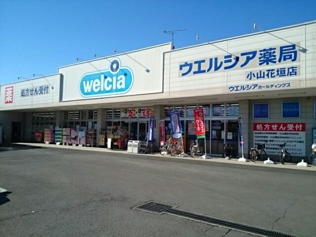 アル・ソーレⅡの周辺|ウエルシア小山花垣店まで1100m