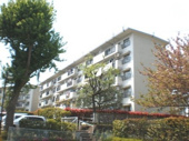 藤の台団地32号棟の画像