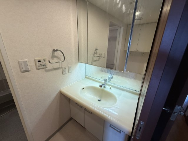 ディアステージ堺町錦の洗面所