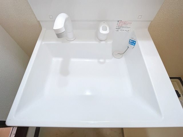 グリーンキャッスルB  の洗面所